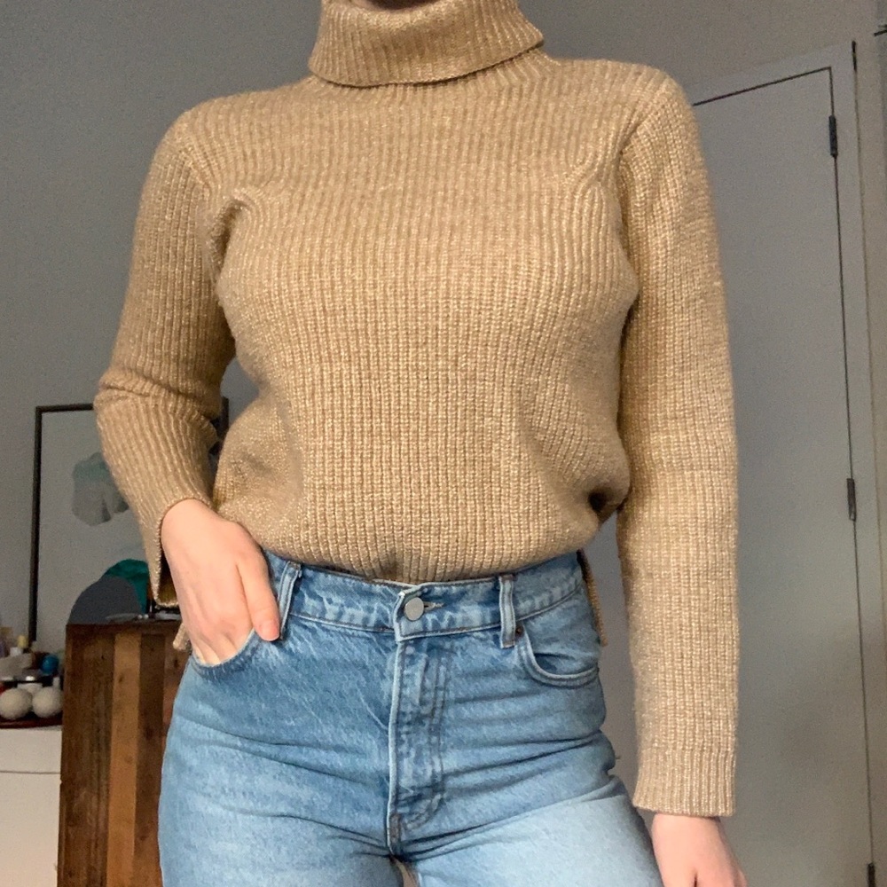 Joie Turtleneck Sweater